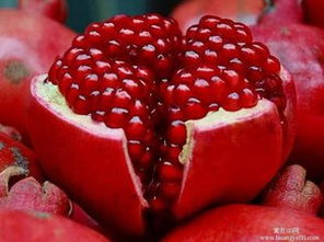 鲜花食品市场报价与厂家林木资源分析