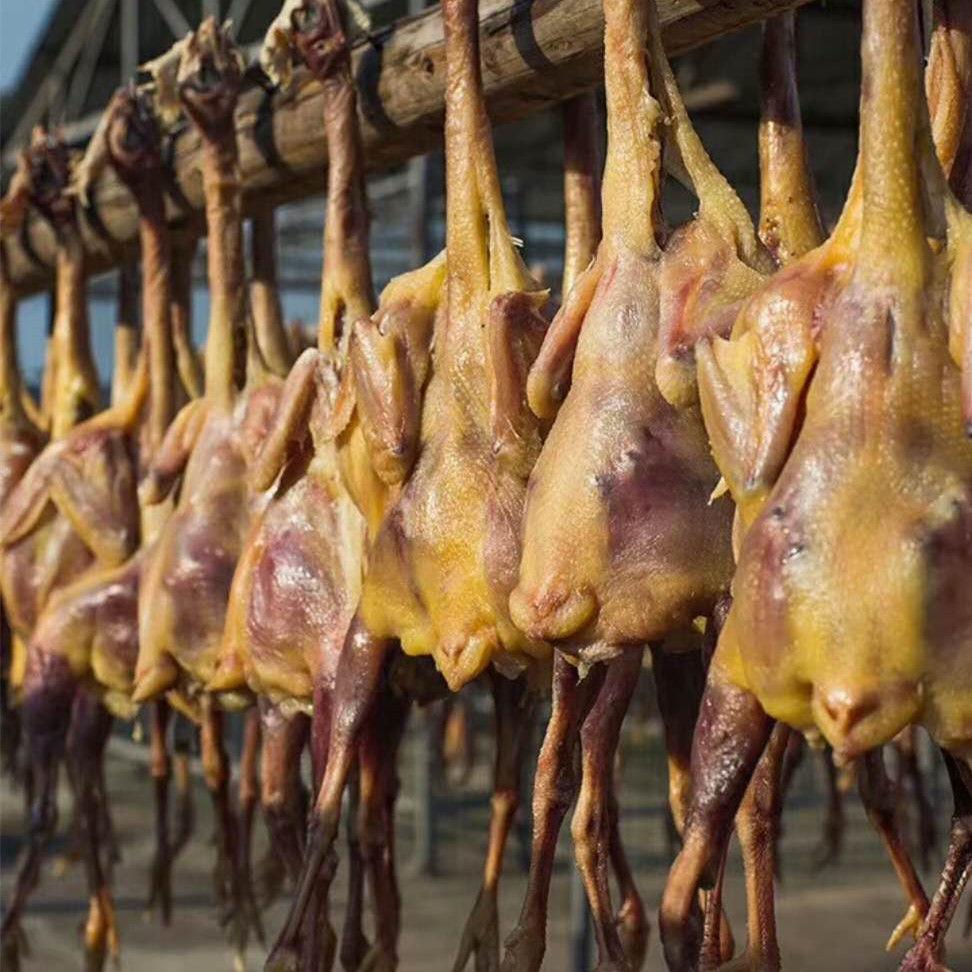 咸鸡的烹饪秘籍 从腌制到上桌的完整指南