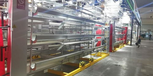 河南省第32届家禽交易会明日开幕 聚焦家禽加工新未来