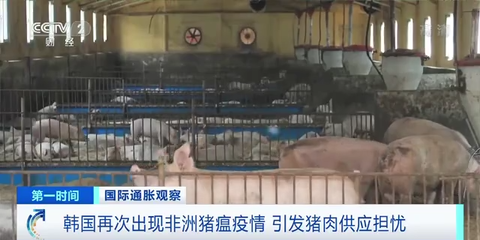 韩国家禽加工食品价格飙升，10月涨幅创13年新高背后的经济信号