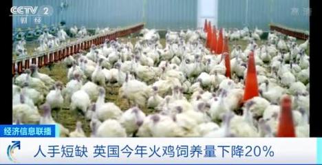 海运涨、食品涨、服装涨！英国今年圣诞“有点贵”的连锁反应